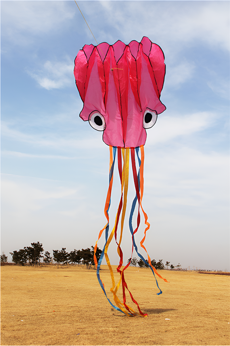 free shipping octopus kite flying soft kites toys for children kite factory walk in sky outdoor fun sports beach kites koi ikite