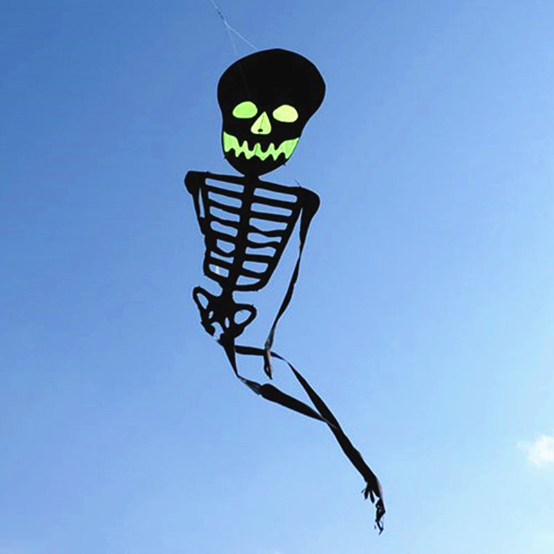 Free Shipping Skull kites flying 3d kites for adults inflatable games kite air kites for professional wind power plane kite