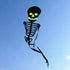 Free Shipping Skull kites flying 3d kites for adults inflatable games kite air kites for professional wind power plane kite