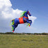 Free Shipping large kites flying pendant kites shows horse kites windsocks kites parafoil inflatable toys outdoor games kitesurf