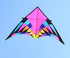 free shipping giant kites flying delta kites for adults kites line kevlar rainbow high kites factory outdoor toys walk in sky