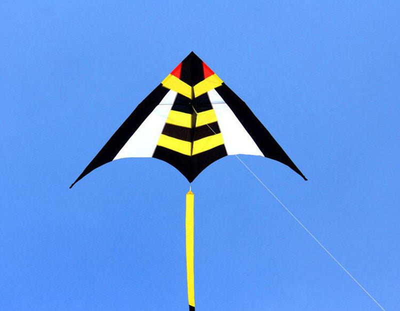 free shipping large delta kite flying nylon kite reel parachute cerf volant kevlar line eagle kiteboard kites for adults kites