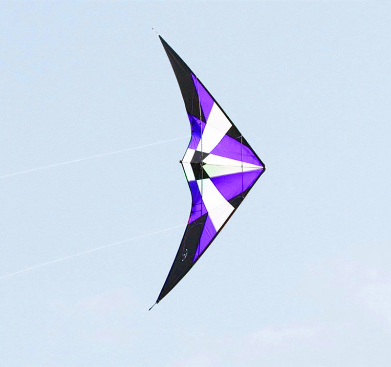 Free Shipping dual line stunt kites flying power kites factory beach kites for adults kites winds professional kite flying toys