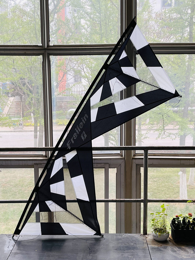 Free Shipping Freilein kites flying stunt kites quad line kites for adults kite reel outdoor toys Smoking sports kite Power kite