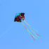 free shipping 220cm butterfly kites for adults kites string line professional winds kites reel parachute ikite factory weifang