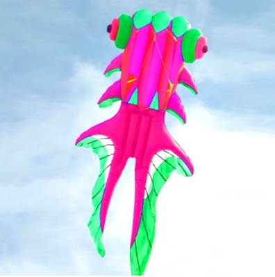 Free Shipping fish kites for adults flying outdoor fun inflatable toys paragliding windsurf kite airplane infant gym string