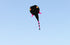 free shipping large tadpole kite fabric soft kites for adults reel toy animal kite professional kite octopus factory parachute