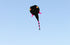 free shipping tadpole kite flying big soft kites fabric adults kites toy animal kite professional kite octopus factory parachute