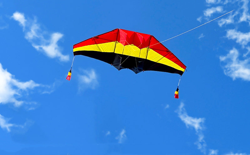 free shipping glider kites for adults kites ripstop nylon Power kite flyingbear rainbow high paper dragon snake coil cometa