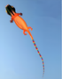 free shipping 14m gecko kites flying professional wind kites soft kites parachute giant kites for adults kites reel kite surf