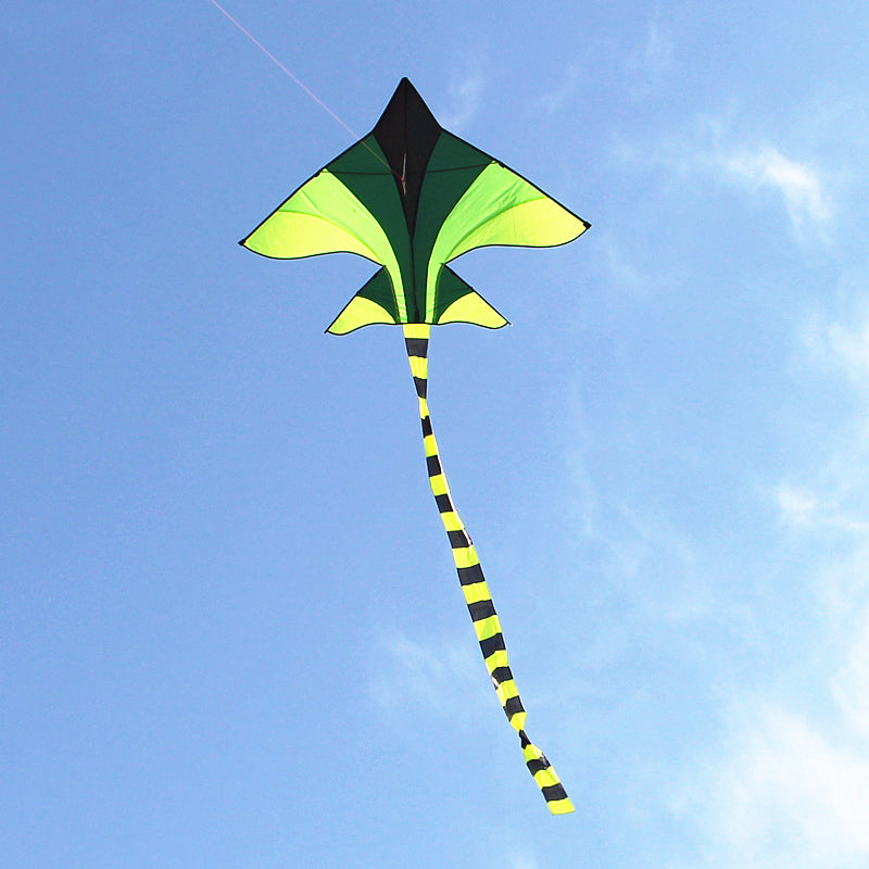 free shipping plane kite for kids kite string line flying toys falcon kite surf set balloon beach outdoor fun sports games ikite