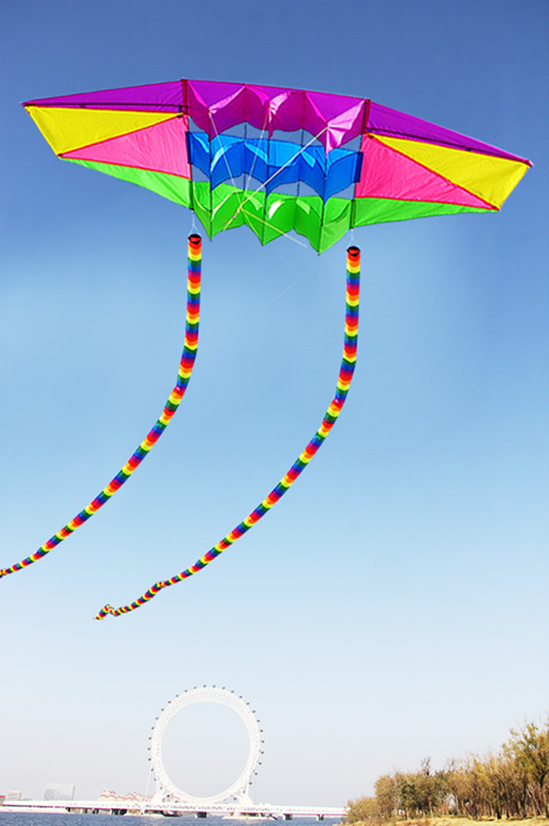free shipping 2.5m Radar kites flying for children kites glider kites toys parafoil kite 3d kites professional paragliding adult