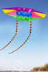free shipping 2.5m Radar kites flying for children kites glider kites toys parafoil kite 3d kites professional paragliding adult
