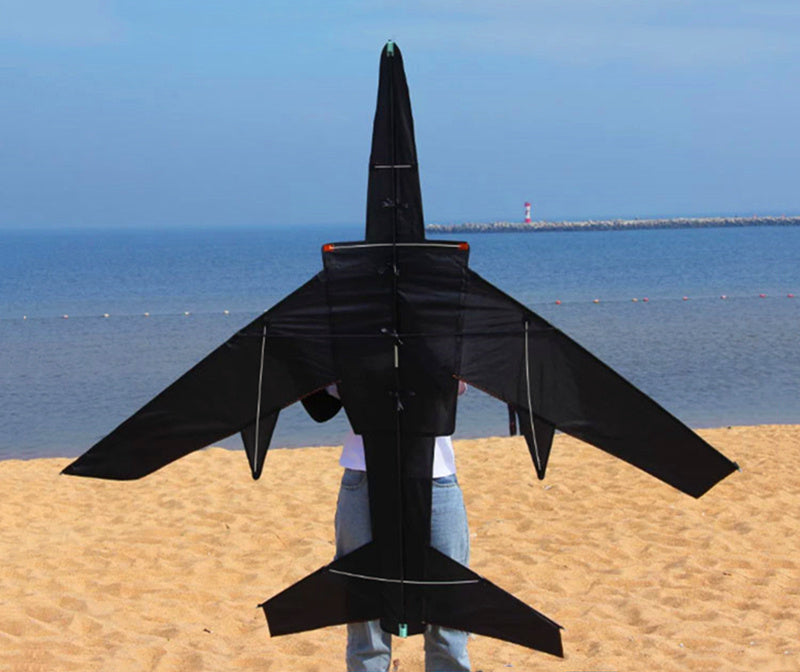 Free Shipping large kites flying plane kites for adults kites string line snake coil ripstop rainbow high wind pointer Kevlar