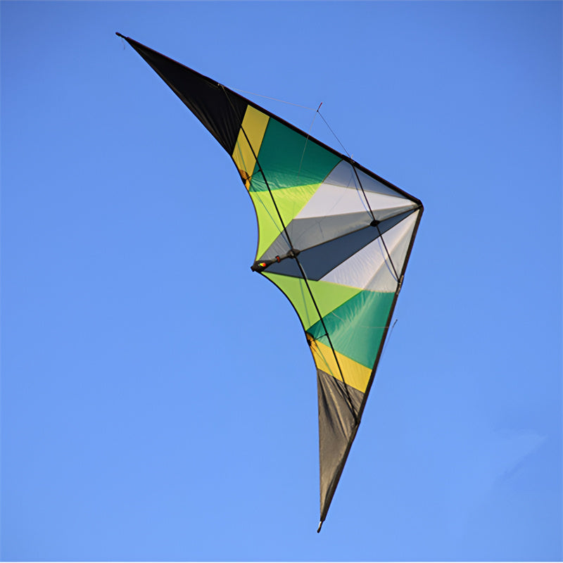 free shipping 255cm dual line stunt kite thunder wing power kite line speak loudly professional wind kites for adults kites reel