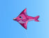 free shipping 10pcs dolphin kites flying toys for children kites factory nylon kites reel snakes kites wholesale weifang ikite