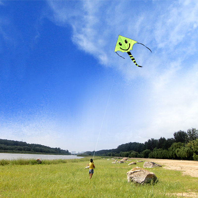 free shipping large smiling face kites children kites reel toys flying outdoor ripstop nylon kite for adults toys parachute cerf