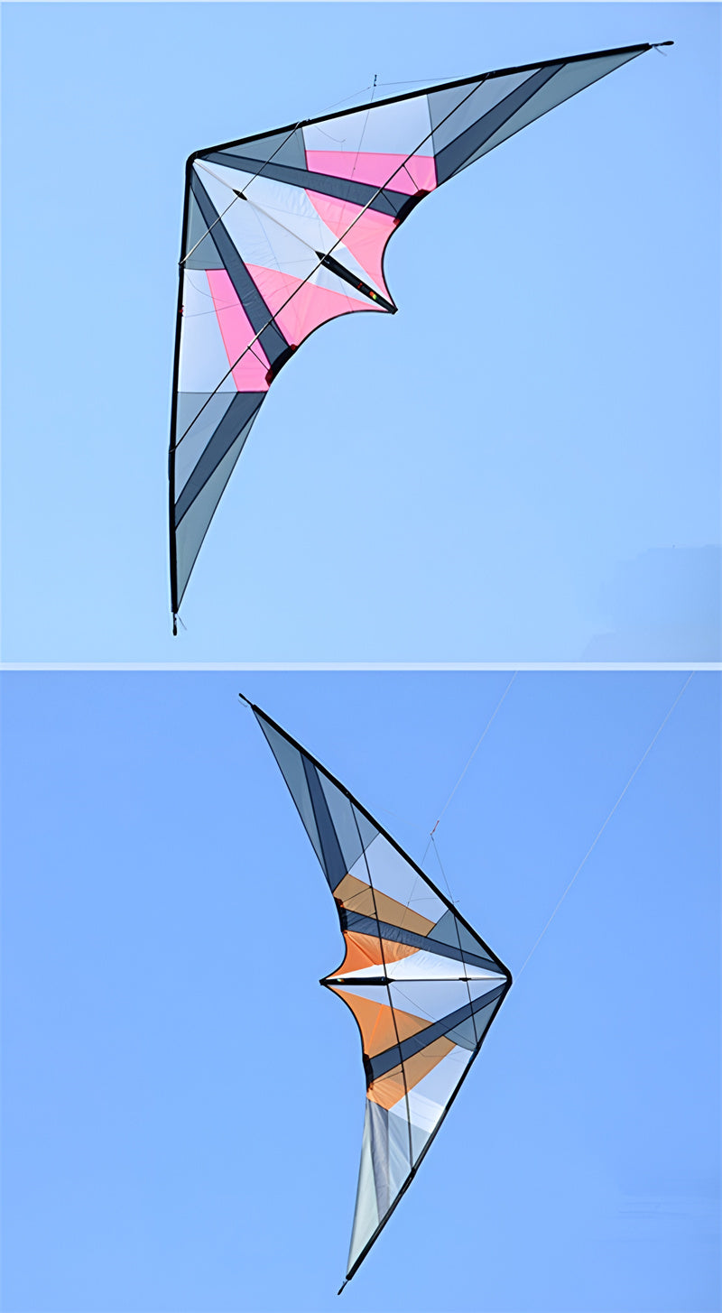 free shipping 260cm dancing swallow kite flying for adults stunt kite line Junlong dual line kite sport kites factory parachute