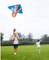 free shipping tiger kite flying toys children kites factory nylon kite windsock kids kites dragon butterfly kites for adults new