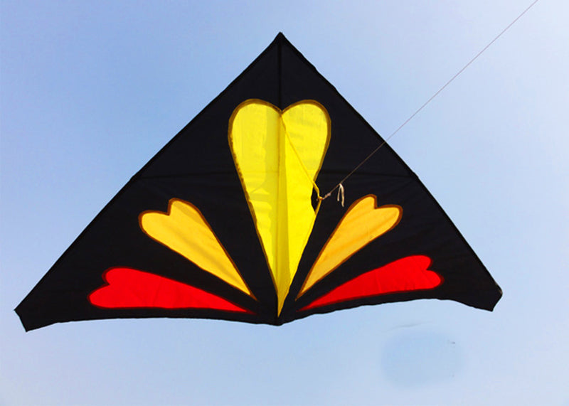 free shipping professional kites flying delta kite adults kites factory new kite string reel parachute outdoor fun sports buggy