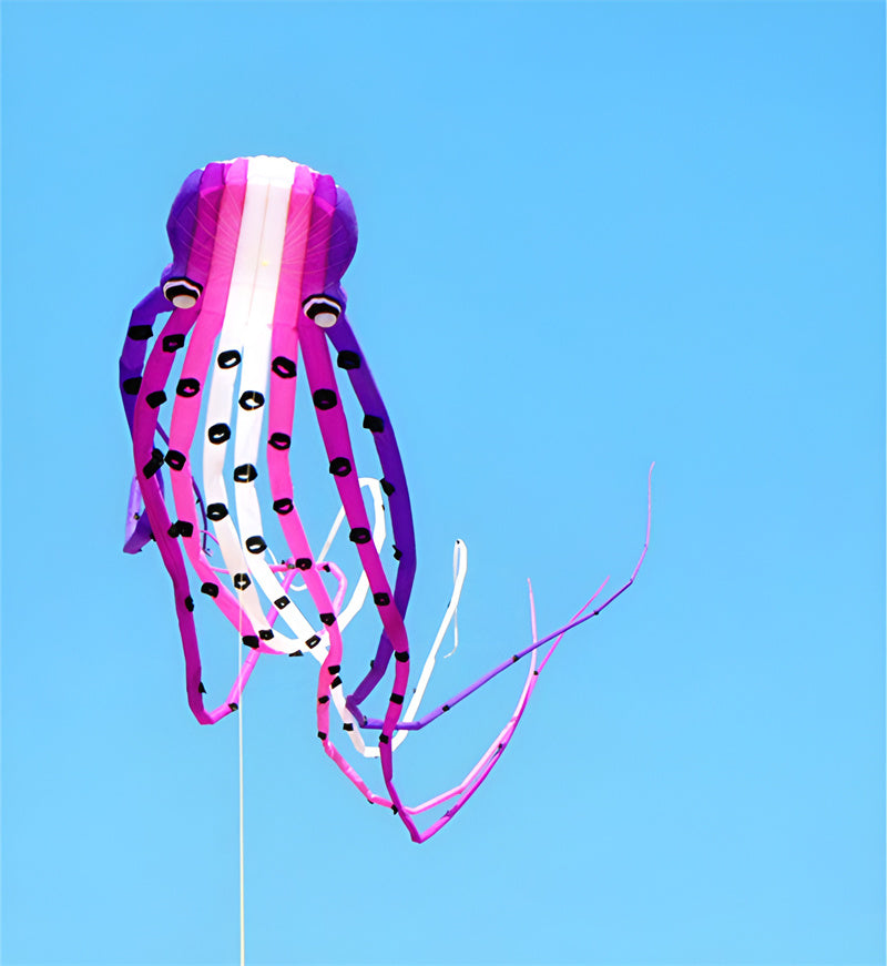 free shipping large octopus kite for adults soft kite professional kites factroy kiteboard power inflatable kites nylon wind air