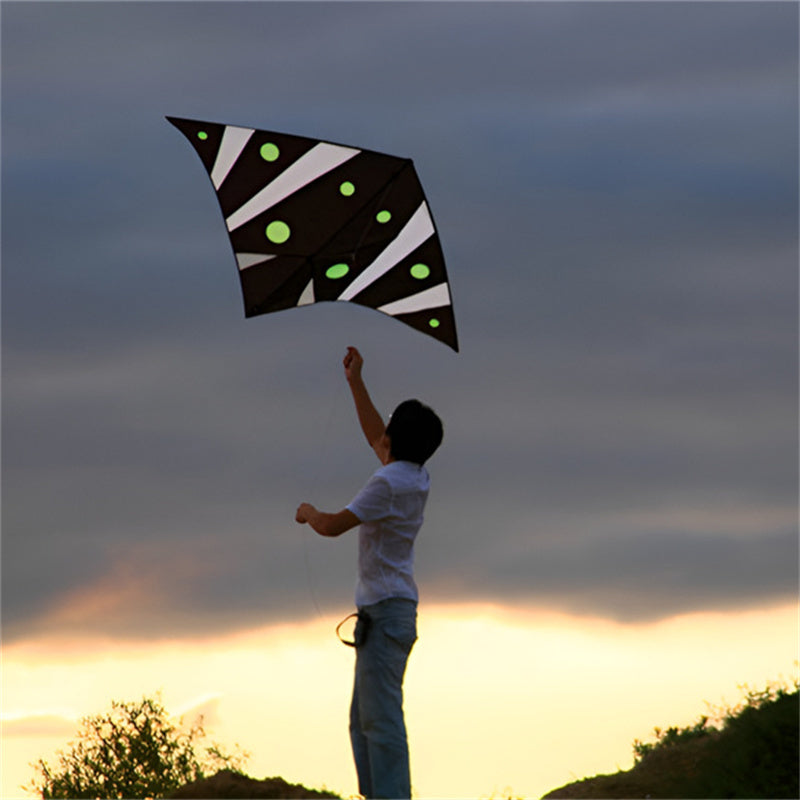 free shipping Ultra-light single line kites deep sea ghost kite for adults flying indoor kites handle line pc31 fabric parachute