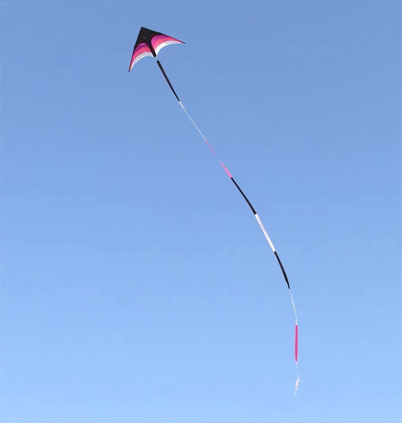 free shipping delta kites 6m tails flying toys for children kites fabric ripstop nylon outdoor sports beach kites factory ikite