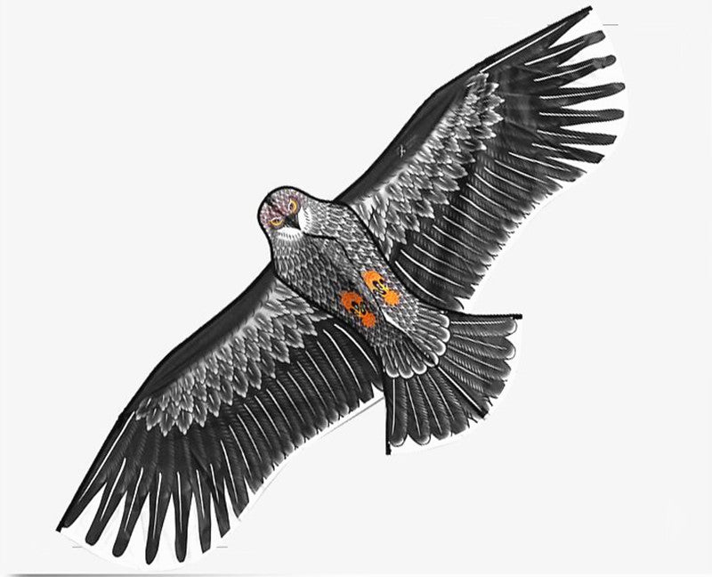 free shipping new eagle kite flying string line for kids kite factory outdoot sports games toys for children kites bird kite koi