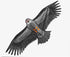 free shipping new eagle kite flying string line for kids kite factory outdoot sports games toys for children kites bird kite koi