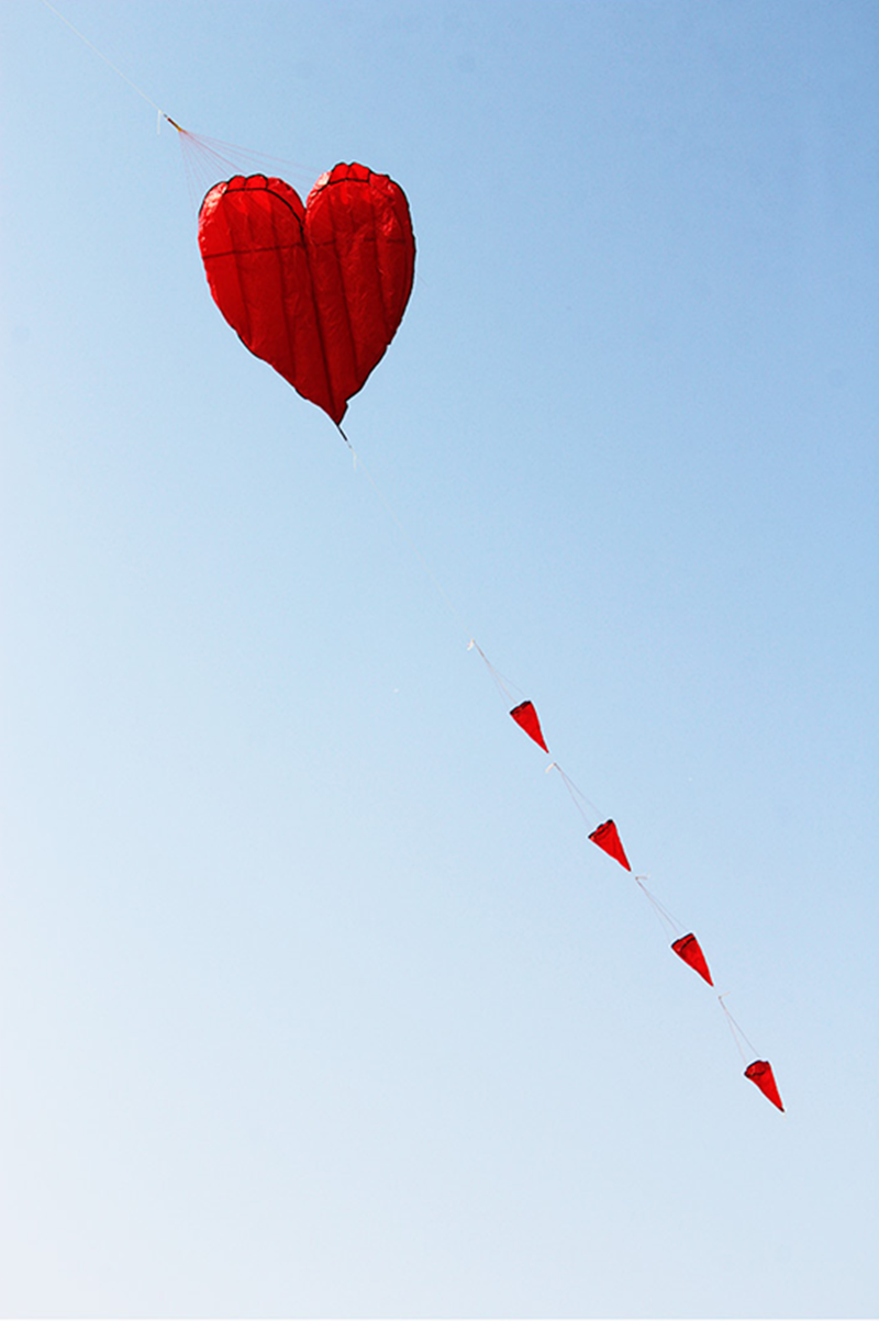 free shipping soft kites flying heart kites for adults kites and rays and lines love kites factory volantines paraglider fishing