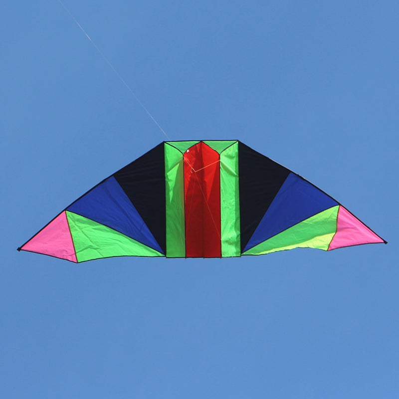free shipping glider kites for adults kites ripstop nylon kites steering kite professional kite paraglider wing inflatable toys