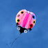 free shipping large ladybug 3D soft kite outdoor flying toys kites for adults vlieger kitesurf kite reel weifang kite factory