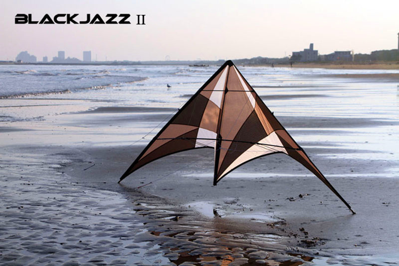 free shipping Freilein kite Factory dual line stunt kite flying professional wind kites for adults reel parapent voar pipe koi