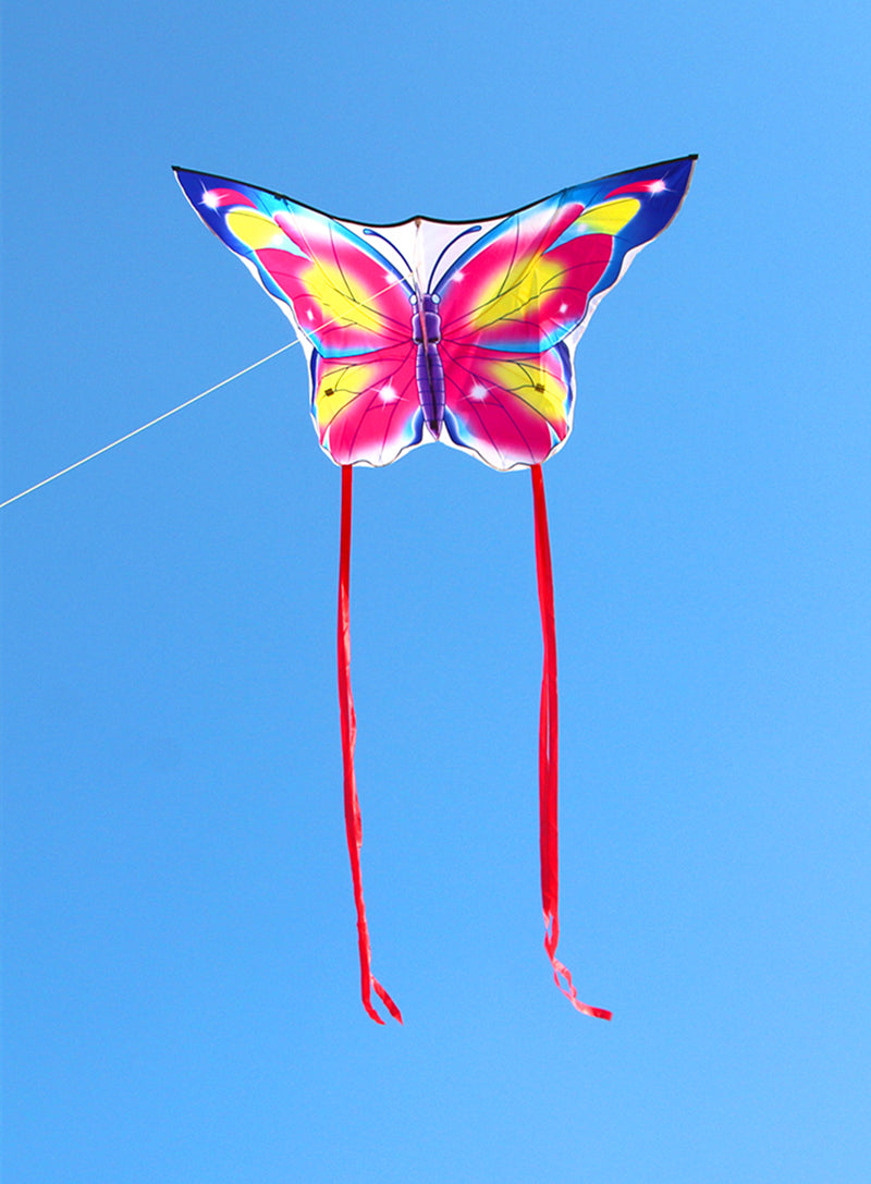 free shipping butterfly kites flying for kids kites nylon kites factory professional winds kites recreational reel flying fairy