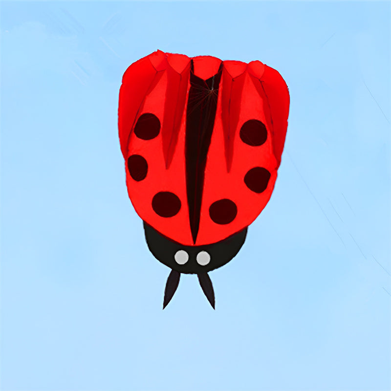 free shipping fish kite flying ladybug kite animated kites for kids inflatable kite fabric ripstop nylon primaris wind indicator