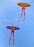 free shipping parrot kites flying toys for children kites reel weifang kites factory volantines rainbow high paraglider fishing