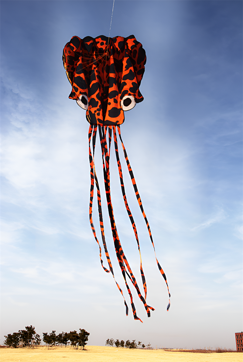 free shipping octopus kite flying soft kites toys for children kite factory walk in sky outdoor fun sports beach kites koi ikite