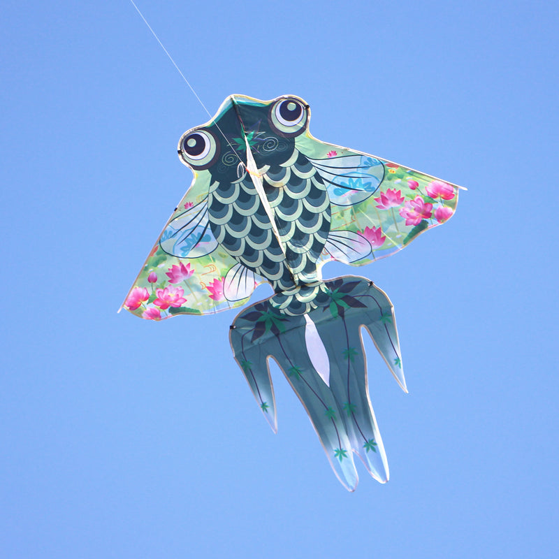 free shipping fishing kites toys for kids kites string wind kites rainbow high colorful flying kites cerf voar pipe ekoflow koi