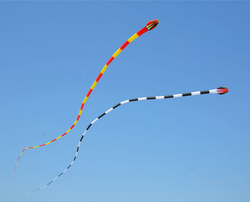 free shipping 3d kites flying snake kites for adults kites parachute inflatable kite dragon flight kite windsurfing professional