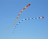free shipping 3d kites flying snake kites for adults kites parachute inflatable kite dragon flight kite windsurfing professional