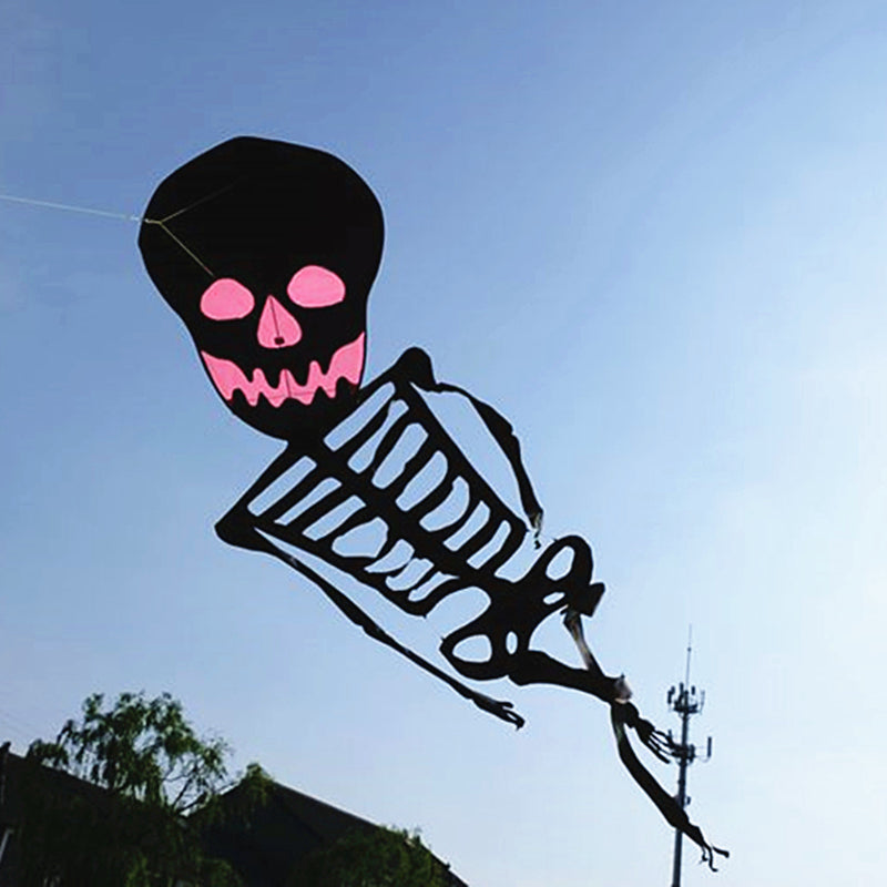 Free Shipping Skull kites flying 3d kites for adults inflatable games kite air kites for professional wind power plane kite