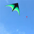 free shipping large delta kite toys outdoor fun flying kites for adults kite reel weifang kite factory eagle kites line ikite