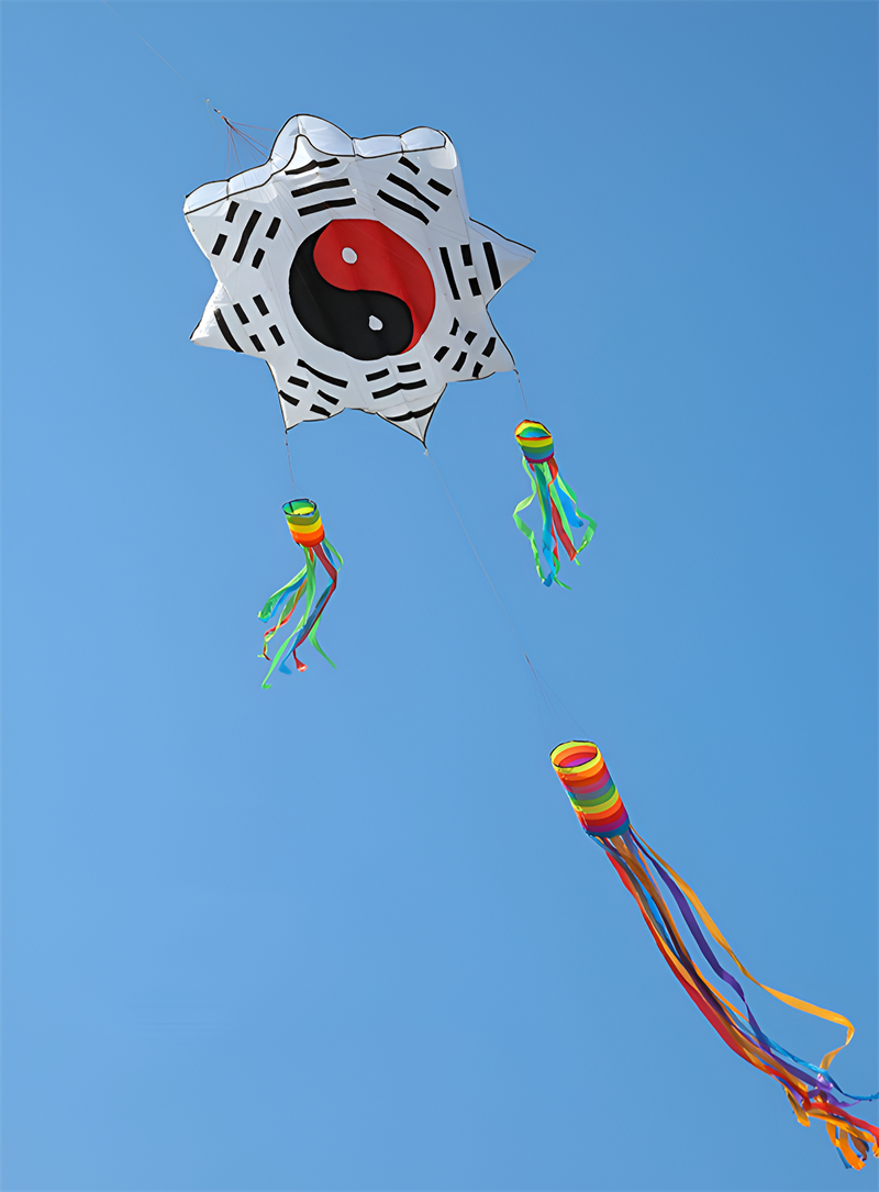 free shipping 3d kites flying soft kites gossip kite nylon ripstop giant inflatable kites Chinese traditional kites dragon kites