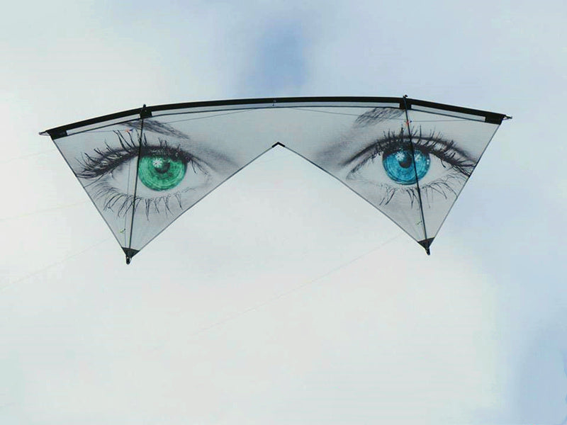 Free Shipping quad line stunt kites flying for adults outdoor toys professional kite Power kite acrobatic comet tent pole wind