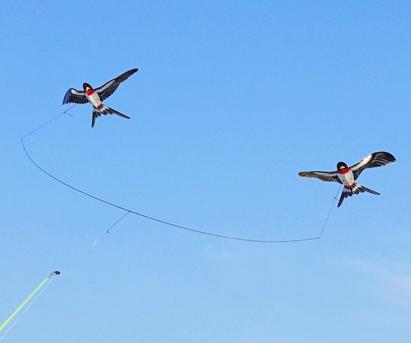 free shipping Pole Swallow kite flying toys for children handle line winder sports outdoors fun hand game mini kite rods fishing
