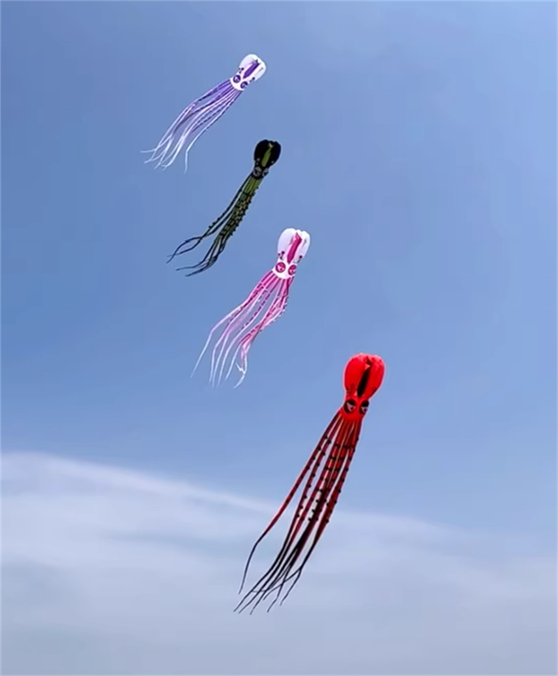Free shipping Giant Octopus Soft Kite 12-18m Extra Large High Grade Nylon Parachute Cloth Adult Single Flight Professional Pendant