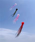 Free shipping Giant Octopus Soft Kite 12-18m Extra Large High Grade Nylon Parachute Cloth Adult Single Flight Professional Pendant