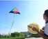 free shipping large diamond kite flying adults kites delta kites factory Wind chimes beach kite line outdoor games weather vane