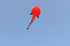 free shipping tadpole kite flying big soft kites fabric adults kites toy animal kite professional kite octopus factory parachute