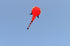 free shipping large tadpole kite fabric soft kites for adults reel toy animal kite professional kite octopus factory parachute